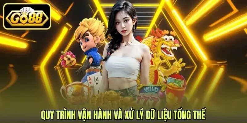 Tổng quan quy trình vận hành và quản lý dữ liệu